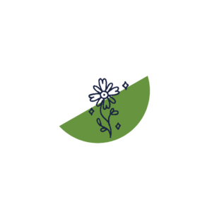 A green half circle with a single flower in front of it